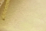 Solar