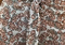Hegra Flare Trouser Set